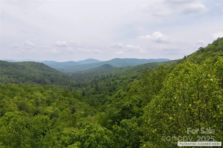 Drone photo beyond the canopy at road level. Potential view after clearing homesite.