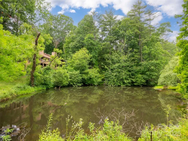 Community Pond at Entry
