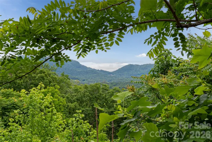Views from homesite