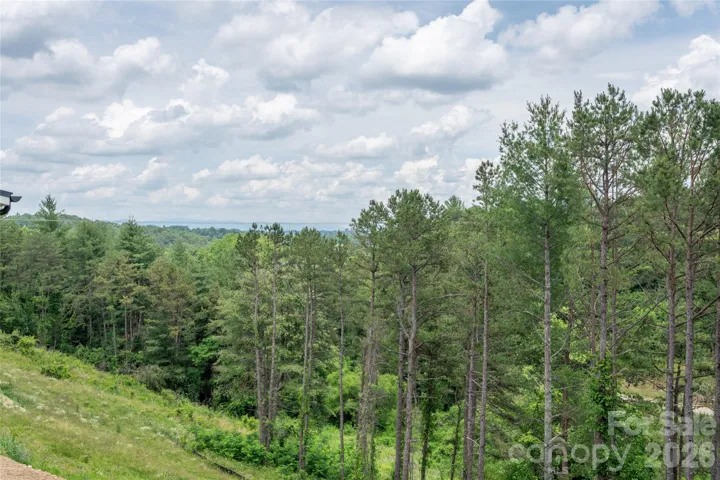 Long range mountain view