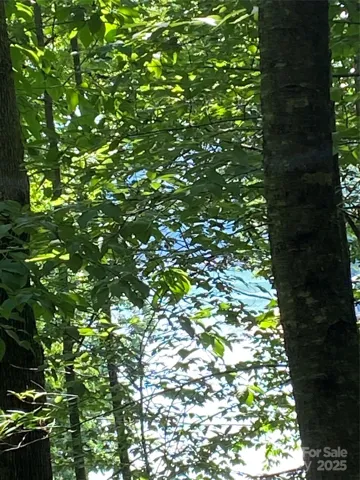 Lake Lure views on Falcon Ave