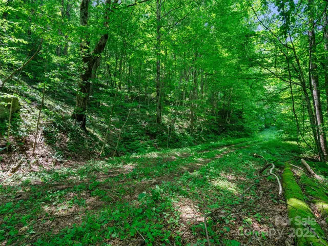 Property at road.