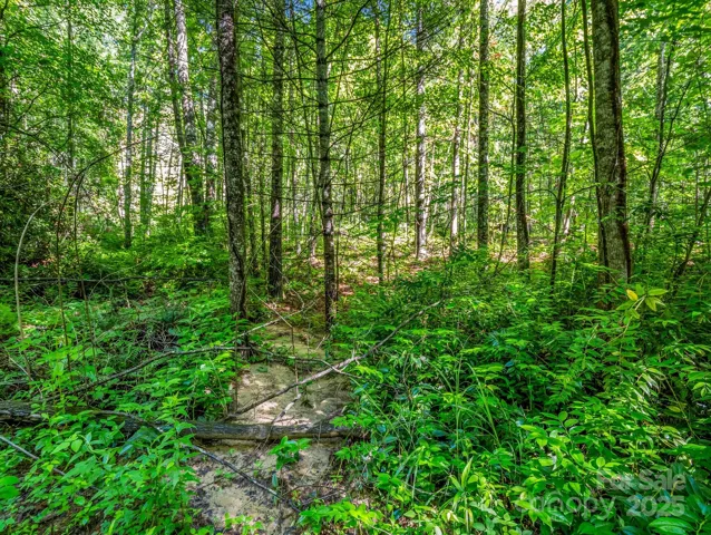 Natural tranquil spa sounds coming from your backyard from the waterfall and creek