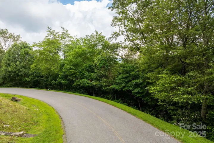 Lot 215 Street View