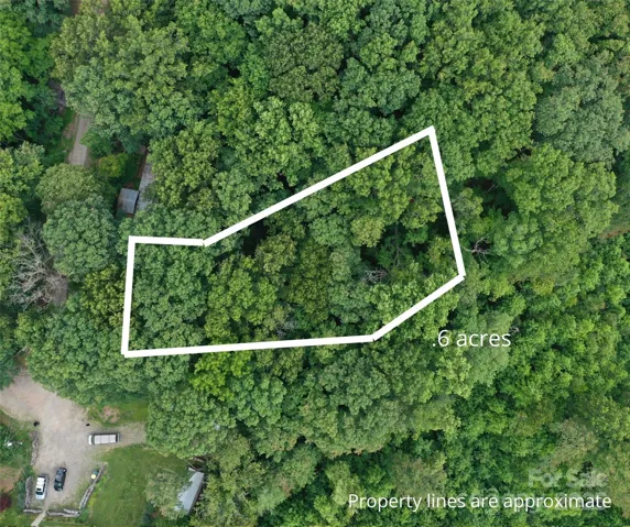 .6 acre lot on a private road in Woodfin, surrounded by nature!