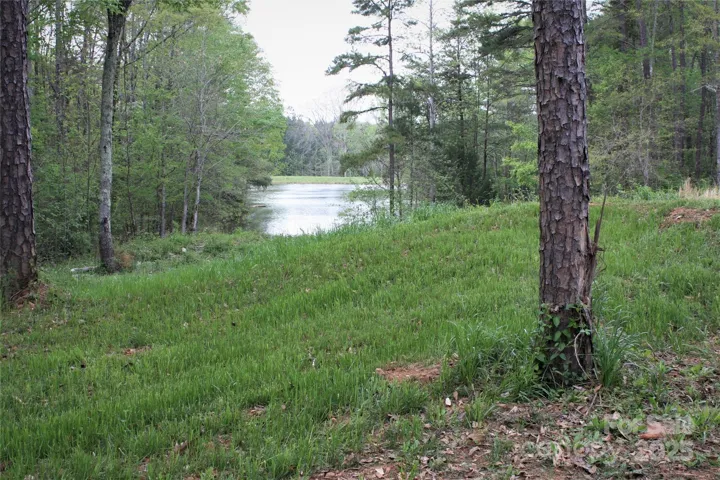 Pond view from front of lot after undergrowth was cleared