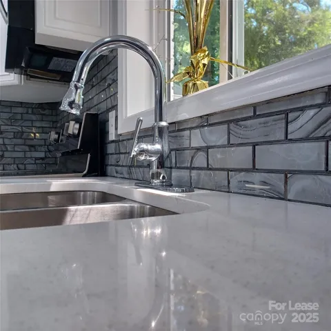Beautiful countertops with undermount stainless sink