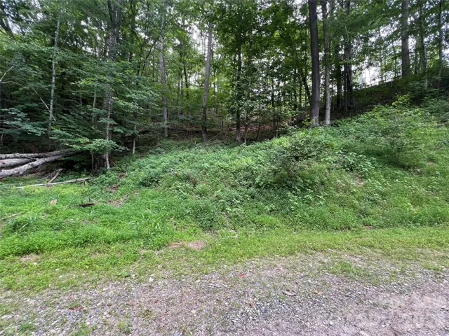 Land perked about 10 yrs ago per seller. applied for perc test.