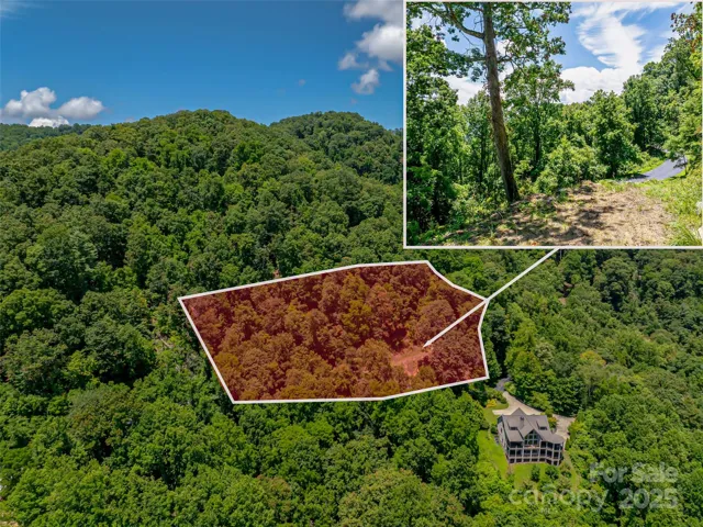 Aerial shot and approximate lot lines.