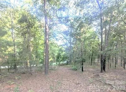 Cleared area