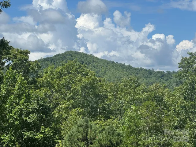 Views of Pisgah National Forest