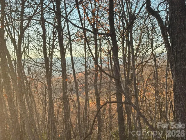 Current winter mountain views. A few trees will need to be trimmed up or removed to get a great year around mountain views
