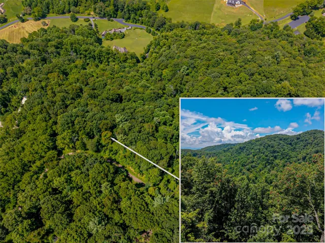 Aerial image and potential views.