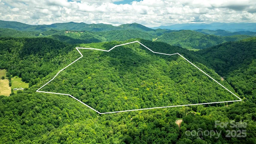 Come see this 104 acre diamond in Madison County, NC, the Jewel of the Blue Ridge Mountains.