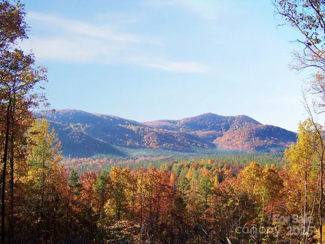 Potential View w/ some tree clearing