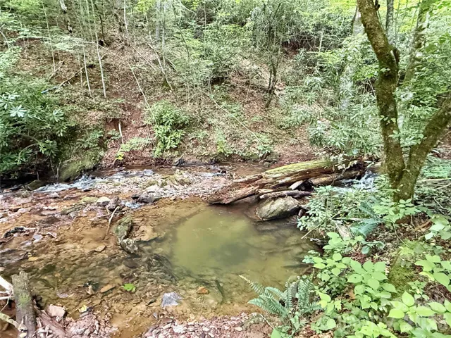 Great swimming hole in creek behind the home
