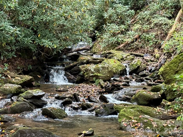 Bold Creek close to home