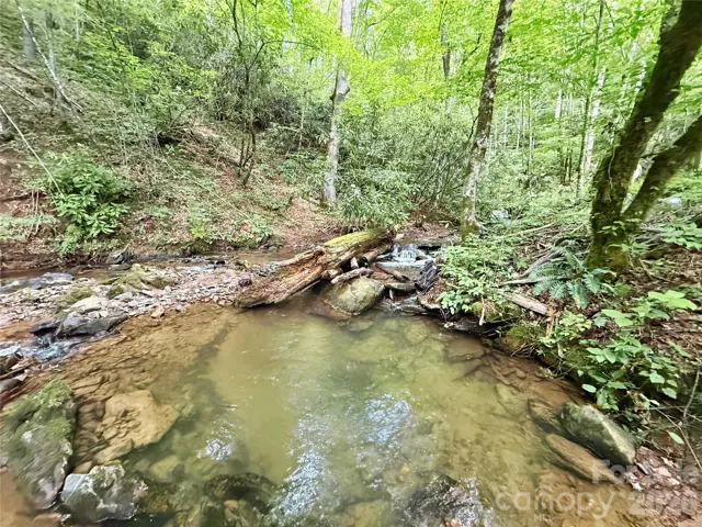 Swimming hole fed by bold cascading falls