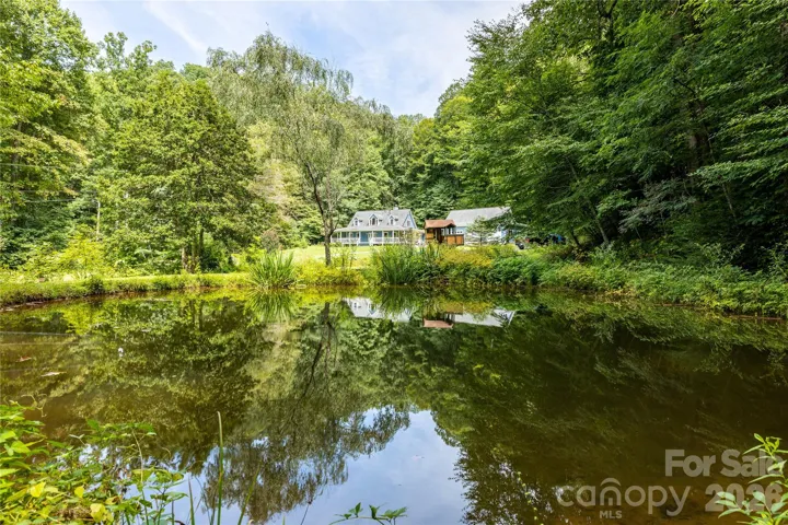 View of home from the spring fed pond