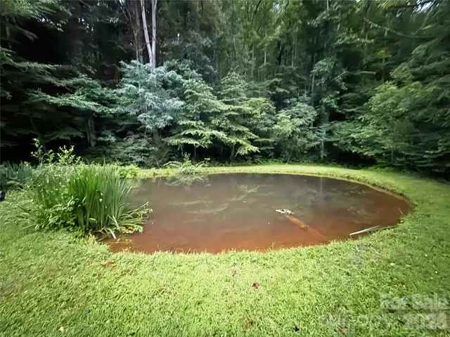 Spring fed pond stocked with fish