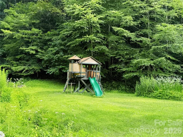 Playset next to pond