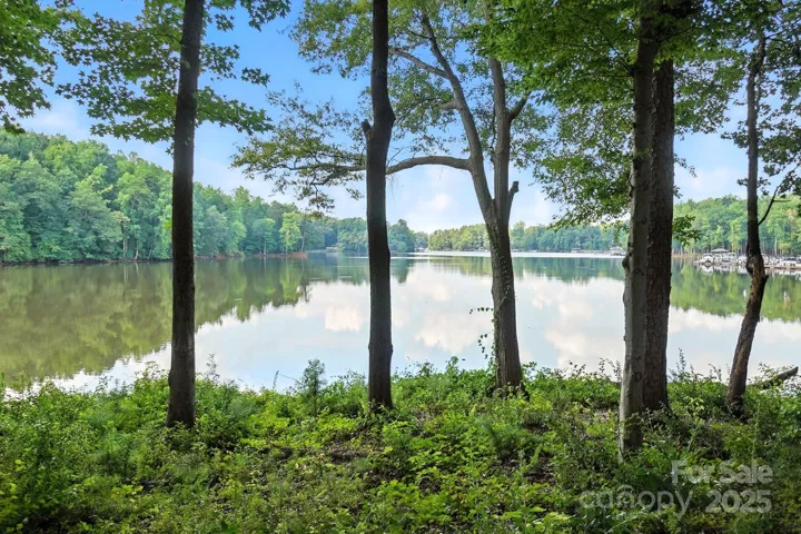 Stunning water-view townhome, perfectly situated in the highly sought-after The Vineyards on Lake Wylie