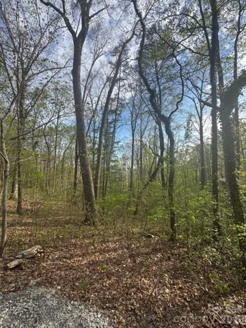 Spring view of Lot