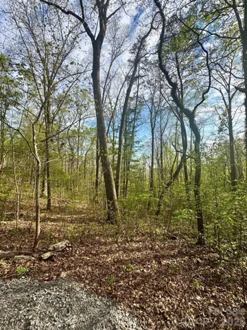 Spring view of Lot