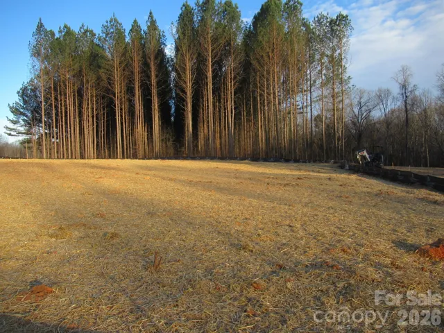 Lot View