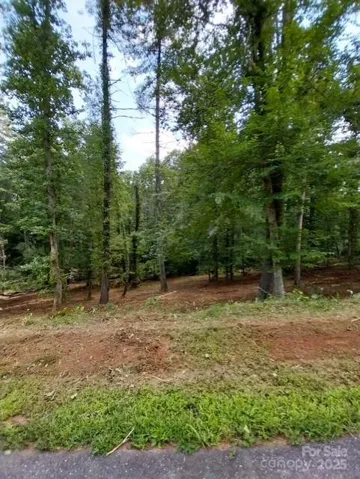 Recently cleared for easy access.