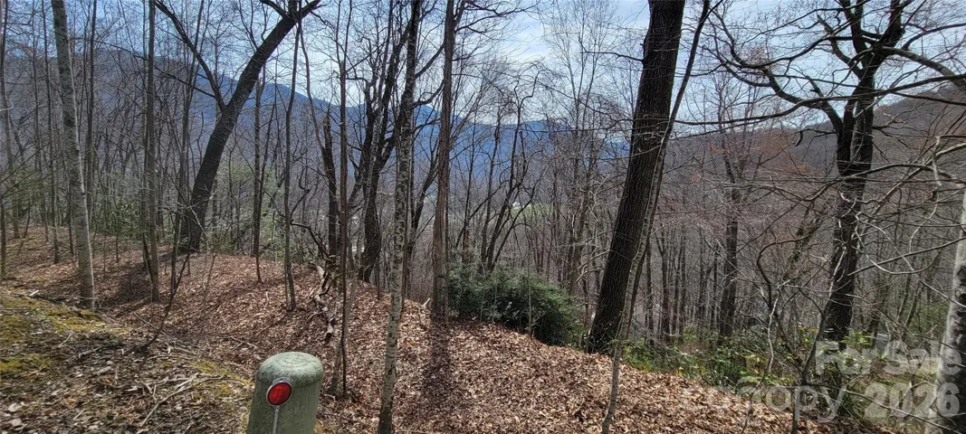 Great Views