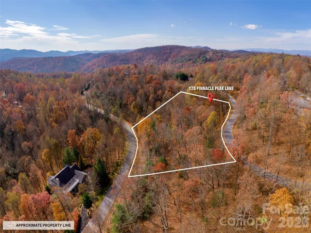 Approximate property lines are shown, outlining this wooded lot for reference.