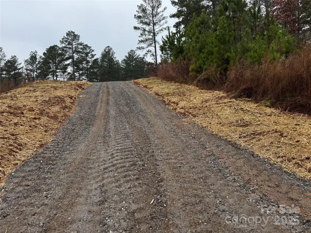 New Drive into Property off Scenic