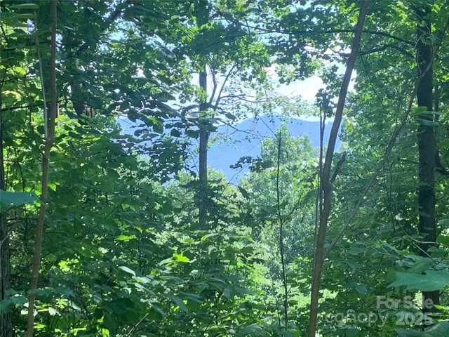 View From the Building Pad