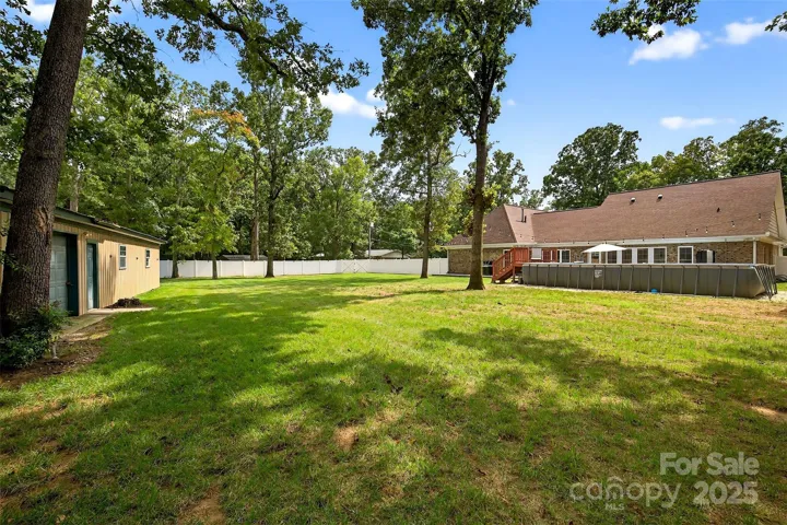 Back yard