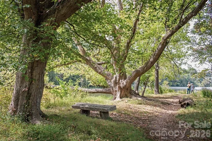 Beaver Lake Trails