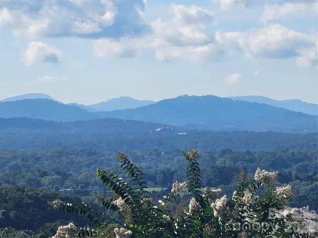 Grand views