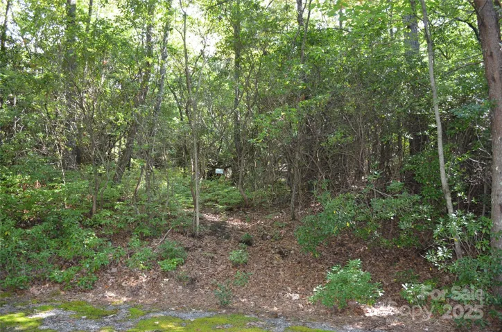 Lot 9 Galax Lane