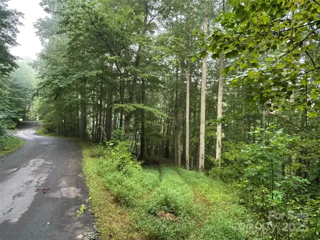 The lot with road cut in