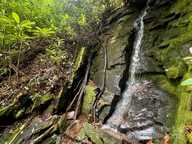 Waterfall appears to be on lot. buyer to verify.