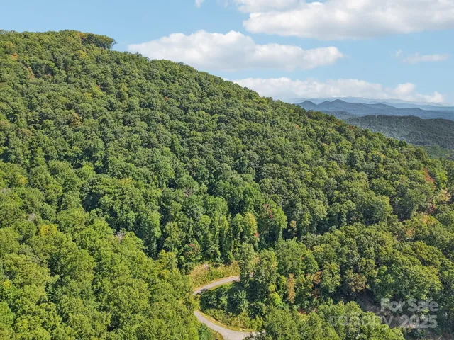 Lot 10 in the Summit of Asheville