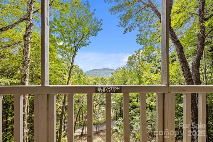 Main Level Covered Deck