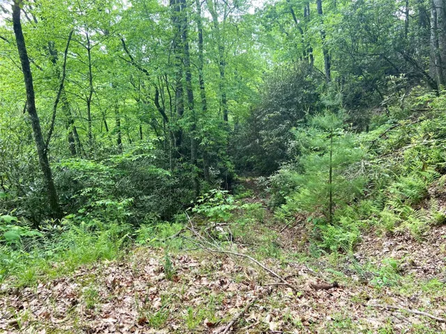 Private wooded views
