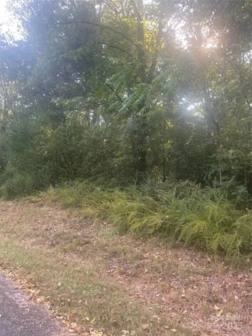 Street view of wooded lot