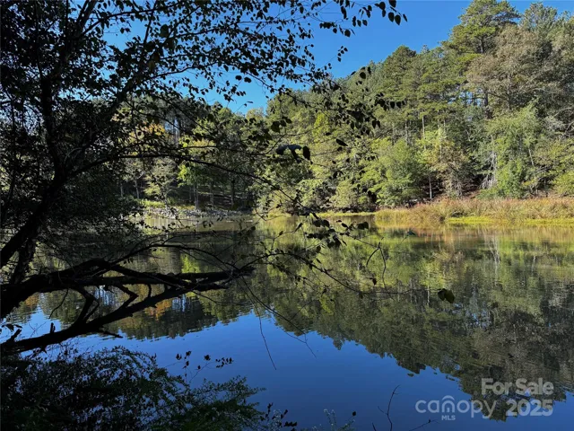 Cove View From Property