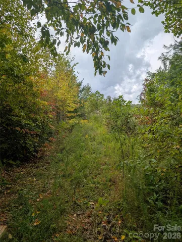 1170