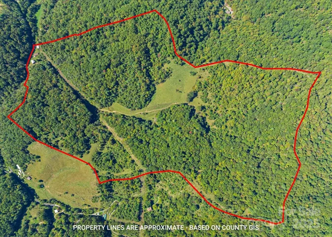 137.5 acres of beautiful land