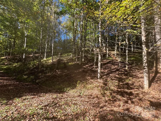 Driveway Already in Place'