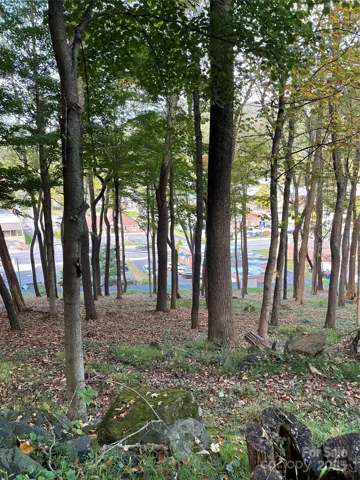 View from top of lots/LOT C