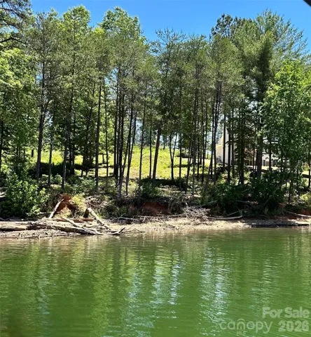 View from the lake